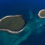 DJI_0493_1